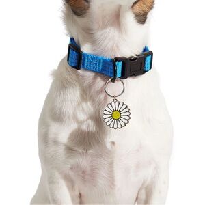 🆕 Daisy Collar Charm/Dog Tag